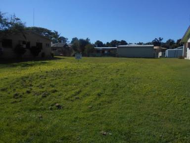 Residential Block For Sale - QLD - Ingham - 4850 - 700 SQUARE METRE BLOCK - SHORT DRIVE TO TOWN CENTRE!  (Image 2)