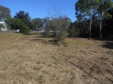 Residential Block For Sale - QLD - Ingham - 4850 - 4,189 SQ.M. (OVER 1 ACRE) ON OUTSKIRTS OF TOWN!  (Image 2)