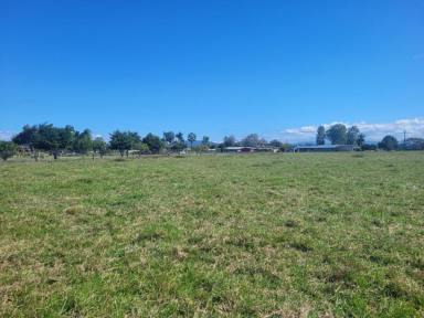 Residential Block For Sale - QLD - Toobanna - 4850 - 9,007 SQ.M. (OVER 2 ACRES) OF LAND SOUTH OF INGHAM!  (Image 2)