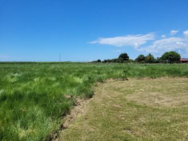 Residential Block For Sale - QLD - Toobanna - 4850 - 8,000 SQ.M. (APPROX. 2 ACRES) OF LAND SOUTH OF INGHAM!  (Image 2)