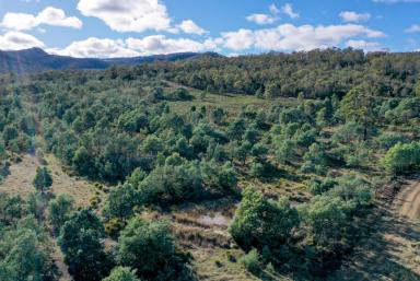 Residential Block Sold - TAS - Hayes - 7140 - Your Own Parcel of Paradise  (Image 2)