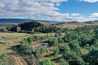 Residential Block Sold - TAS - Hayes - 7140 - Your Own Parcel of Paradise  (Image 2)