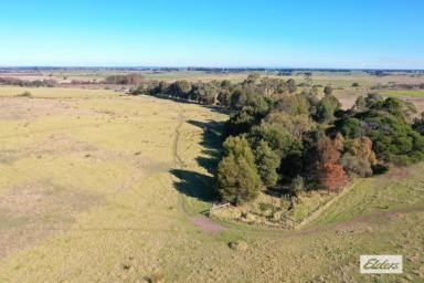 Other (Rural) Sold - VIC - Stratford - 3862 - MAGNIFICENT VIEWS  (Image 2)