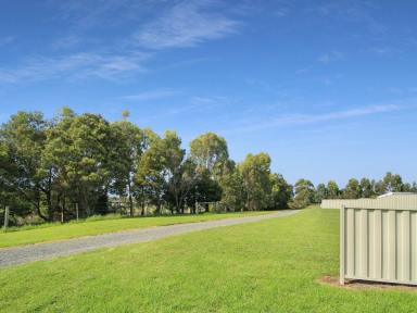 Residential Block For Sale - VIC - Nicholson - 3882 - RIVER RIGHT AT YOUR DOOR STEP  (Image 2)