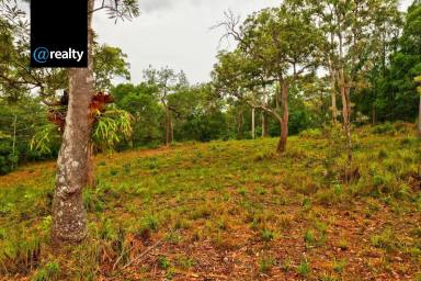 Residential Block For Sale - QLD - Ravenshoe - 4888 - Private sanctuary in the rainforest wilderness  (Image 2)