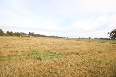 Residential Block Sold - VIC - Undera - 3629 - BUILD YOUR DREAM HOME ON 1 ACRE  (Image 2)
