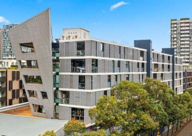 Office(s) For Sale - NSW - Waterloo - 2017 - 80 sqm investors dreams 8,3% yield  (Image 2)