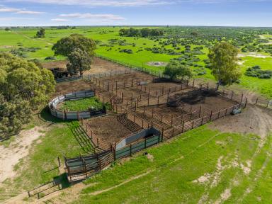 Mixed Farming Auction - NSW - Deniliquin - 2710 - 'A Renowned Southern Riverina Pastoral Holding'  (Image 2)