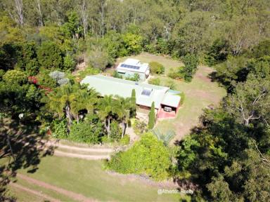 Acreage/Semi-rural For Sale - QLD - Tolga - 4882 - ACREAGE WITH PRIVACY AND SPACE ASSURED  (Image 2)