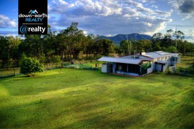 Acreage/Semi-rural For Sale - QLD - Dimbulah - 4872 - Lifestyle! Farming! Water abundant!  (Image 2)