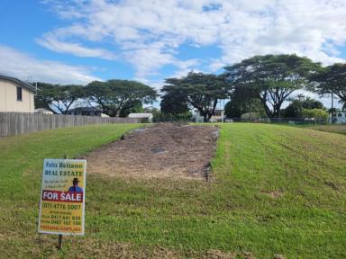 Residential Block For Sale - QLD - Ingham - 4850 - 850 SQ.M. RAISED BLOCK OF LAND IN TOWN!  (Image 2)
