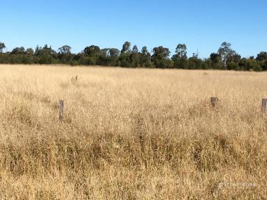 Residential Block For Sale - QLD - Dalby - 4405 - 19 ACRES ON ARMSTRONG STREET  (Image 2)