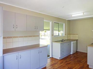House For Lease - QLD - Kelso - 4815 - ENTERTAINMENT AREA | 2 X SHEDS  (Image 2)