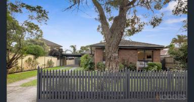 House Leased - VIC - Mentone - 3194 - GREAT FAMILY HOME | MODERN | LOTS OF YARD SPACE  (Image 2)