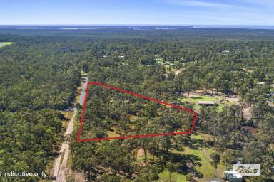 Residential Block For Sale - QLD - Burrum Heads - 4659 - Both a Tree-Change & a Sea-Change! 2Ha Just Minutes From the Water  (Image 2)
