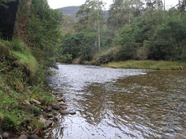 Lifestyle For Sale - VIC - Dargo - 3862 - DARGO RIVER HIDEAWAY  (Image 2)