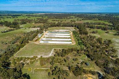 Other (Rural) For Sale - WA - Serpentine - 6125 - One of WA's Finest Poultry Farms  (Image 2)