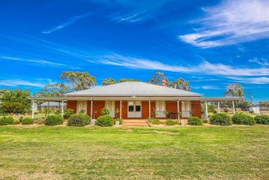 Acreage/Semi-rural For Sale - NSW - Deniliquin - 2710 - Exceptional Lifestyle Property with Established Equine Facilities - 80.53Ha/199Ac  (Image 2)