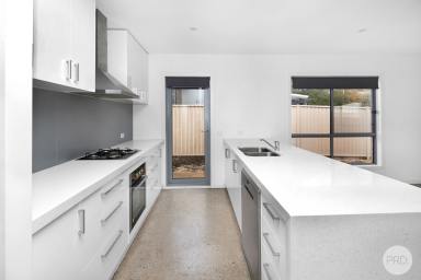 House Leased - VIC - Ballarat East - 3350 - BREAK LEASE - NEAT TWO BEDROOMS HOUSE IN BALLARAT EAST!  (Image 2)