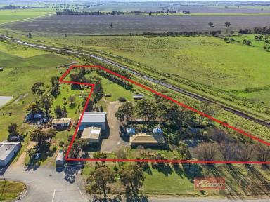 Farmlet For Sale - NSW - Blighty - 2713 - Attention Transport Operators, Engineers, Mechanics, Tradesman, Farmers or Lifestyle Enthusiasts, This Property Maybe Perfect For You!  (Image 2)
