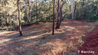 Residential Block For Sale - QLD - Russell Island - 4184 - Level building pad, mostly cleared block on Eastern side  (Image 2)