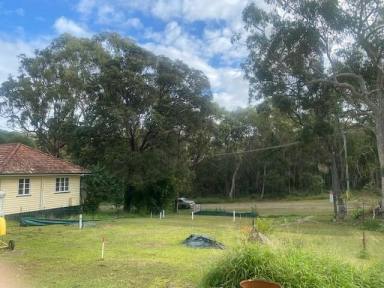 Residential Block For Sale - QLD - Macleay Island - 4184 - CLEARED BLOCK - READY TO BUILD  (Image 2)