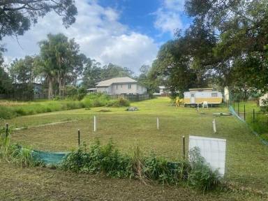 Residential Block For Sale - QLD - Macleay Island - 4184 - CLEARED BLOCK - READY TO BUILD  (Image 2)