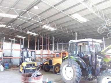 Industrial/Warehouse For Sale - QLD - Tara - 4421 - TARA COMMERCIAL PROPERTY - 1/2 ACRE LAND - APPROX. 1000M2 SHED  (Image 2)