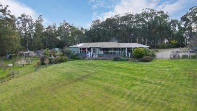 House For Sale - VIC - Toolangi - 3777 - Restful Mountain Retreat  (Image 2)