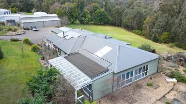 House For Sale - VIC - Toolangi - 3777 - Restful Mountain Retreat  (Image 2)