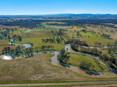 Livestock Sold - NSW - Shannon Brook - 2470 - Vendor Says Sell!  (Image 2)