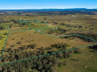 Livestock Sold - NSW - Shannon Brook - 2470 - Vendor Says Sell!  (Image 2)