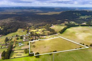 Residential Block For Sale - VIC - Newbury - 3458 - BUILD YOUR DREAM  (Image 2)