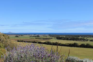 House For Sale - TAS - Whitemark - 7255 - The View is Astonishing!  (Image 2)