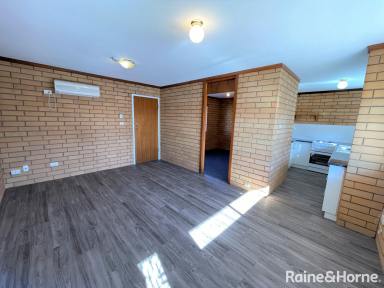 Unit For Lease - NSW - Wagga Wagga - 2650 - IN THE HEART OF THE CBD  (Image 2)