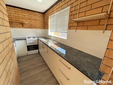 Unit For Lease - NSW - Wagga Wagga - 2650 - IN THE HEART OF THE CBD  (Image 2)