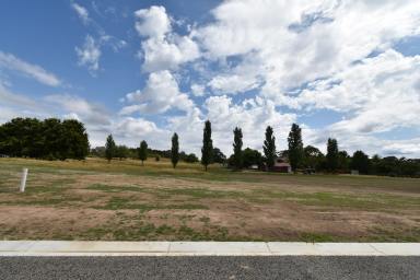 Residential Block For Sale - VIC - Beechworth - 3747 - A SUBDIVISION WITH SPACE - LOT 2  (Image 2)