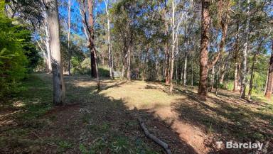 Residential Block Sold - QLD - Russell Island - 4184 - High on the Hill on the Eastern side of Russell Island  (Image 2)