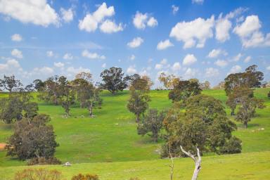 Lifestyle For Sale - VIC - Harrow - 3317 - Beautiful seclusion - lifestyle and farming...  (Image 2)