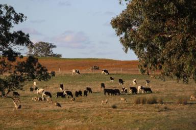 Lifestyle For Sale - VIC - Harrow - 3317 - Fantastic property with both lifestyle and farming aspects  (Image 2)