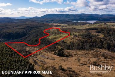 Other (Rural) For Sale - TAS - Tayene - 7259 - 35 Acres By The Mountain, With Water…  (Image 2)