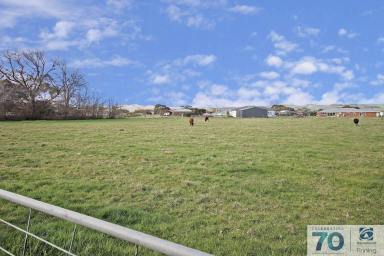 Other (Rural) For Sale - VIC - Bass - 3991 - OH I DO LOVE THE COUNRTY - NO BULL!!!  (Image 2)