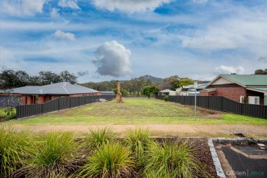 Residential Block For Sale - VIC - Glenrowan - 3675 - Buy the Chimney, get the land for FREE  (Image 2)