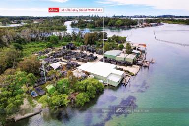 Residential Block For Sale - NSW - Tuncurry - 2428 - OAKEY ISLAND - WALLIS LAKE.  (Image 2)