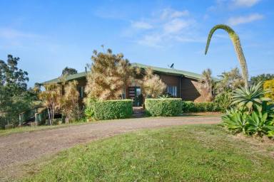 Lifestyle For Sale - QLD - Langshaw - 4570 - LANGSHAW LIMES  (Image 2)