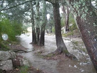 Lifestyle For Sale - NSW - Brogo - 2550 - Escape the City - 185 Acres of Income, Privacy & Coastal Lifestyle on the Sapphire Coast  (Image 2)