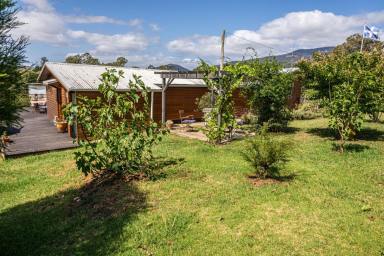 Lifestyle For Sale - NSW - Brogo - 2550 - South Coast Turn Key Property & Acreage  (Image 2)