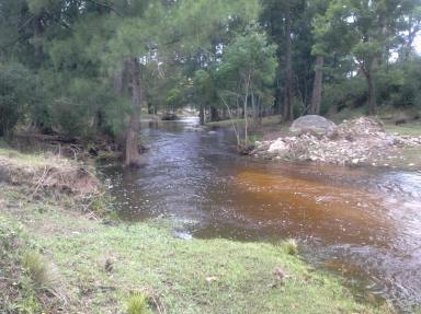 Lifestyle For Sale - NSW - Brogo - 2550 - Escape the City - 185 Acres of Income, Privacy & Coastal Lifestyle on the Sapphire Coast  (Image 2)