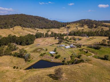 Other (Rural) For Sale - NSW - Brogo - 2550 - More Than a Property. A Whole New Way of Life. (Image 2)