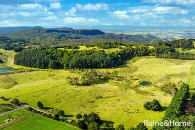House For Sale - NSW - Robertson - 2577 - Incredible Coastal Views, Pristine Rainforest & Rolling Green Pastures  (Image 2)
